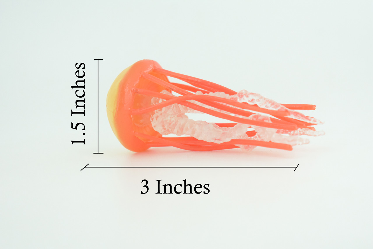 Jellyfish, Orange, Common, Sea jellies, Subphylum Medusozoa, Very Nice Rubber Design, Educational, Hand Painted, Diorama Model, Realistic, Toys, Kids, Gift, 3 Inches.