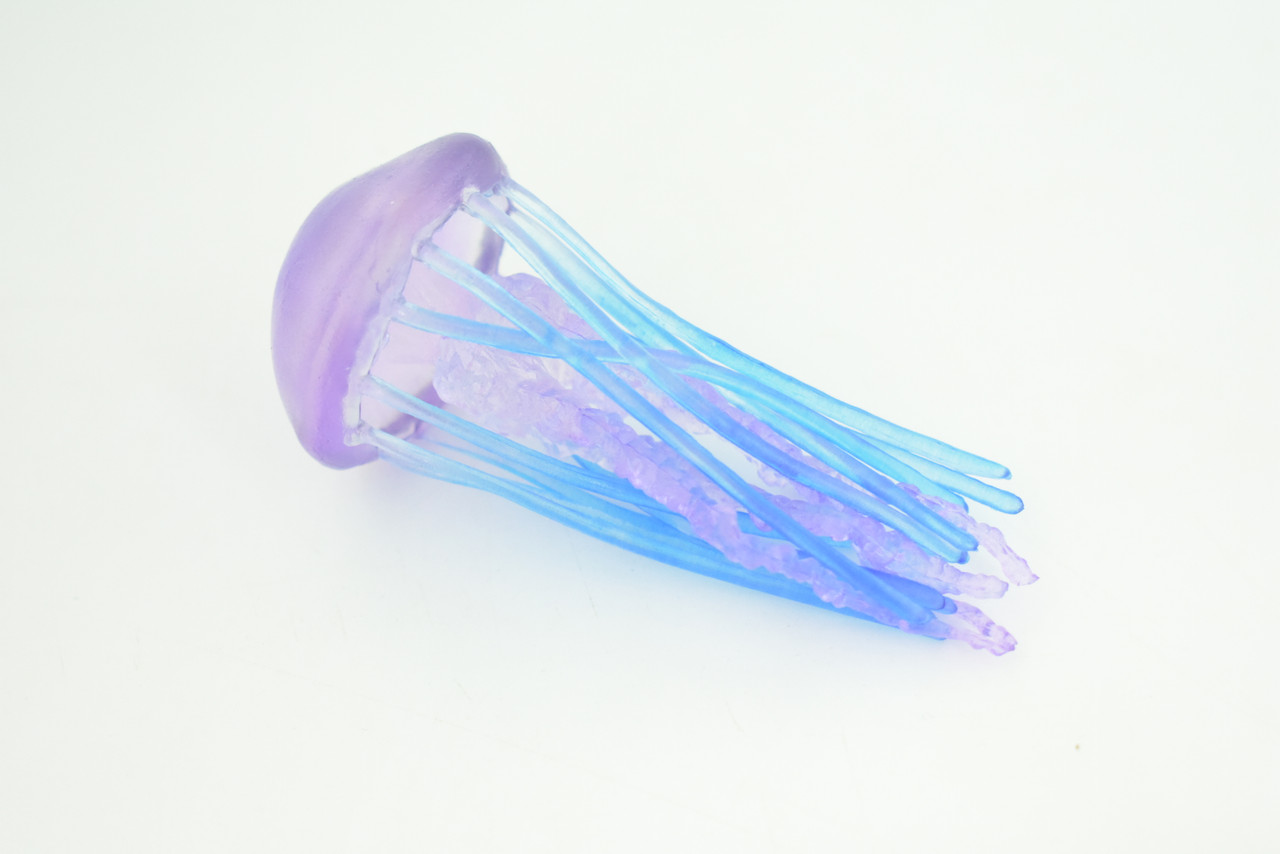 Jellyfish, Purple, Common, Sea jellies, Subphylum Medusozoa, Very Nice Rubber Design, Educational, Hand Painted, Diorama Model, Realistic, Toys, Kids, Gift,  3 Inches.  CH1044 BB216