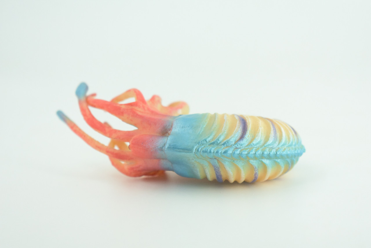 Nautilus, Blue, Pelagic Marine Mollusk, Museum Quality, Hard Rubber, Hand Painted, Realistic Toy Figure, Diorama Model, Kids, Educational, Gifts,    4 Inches.   CH1046 BB218