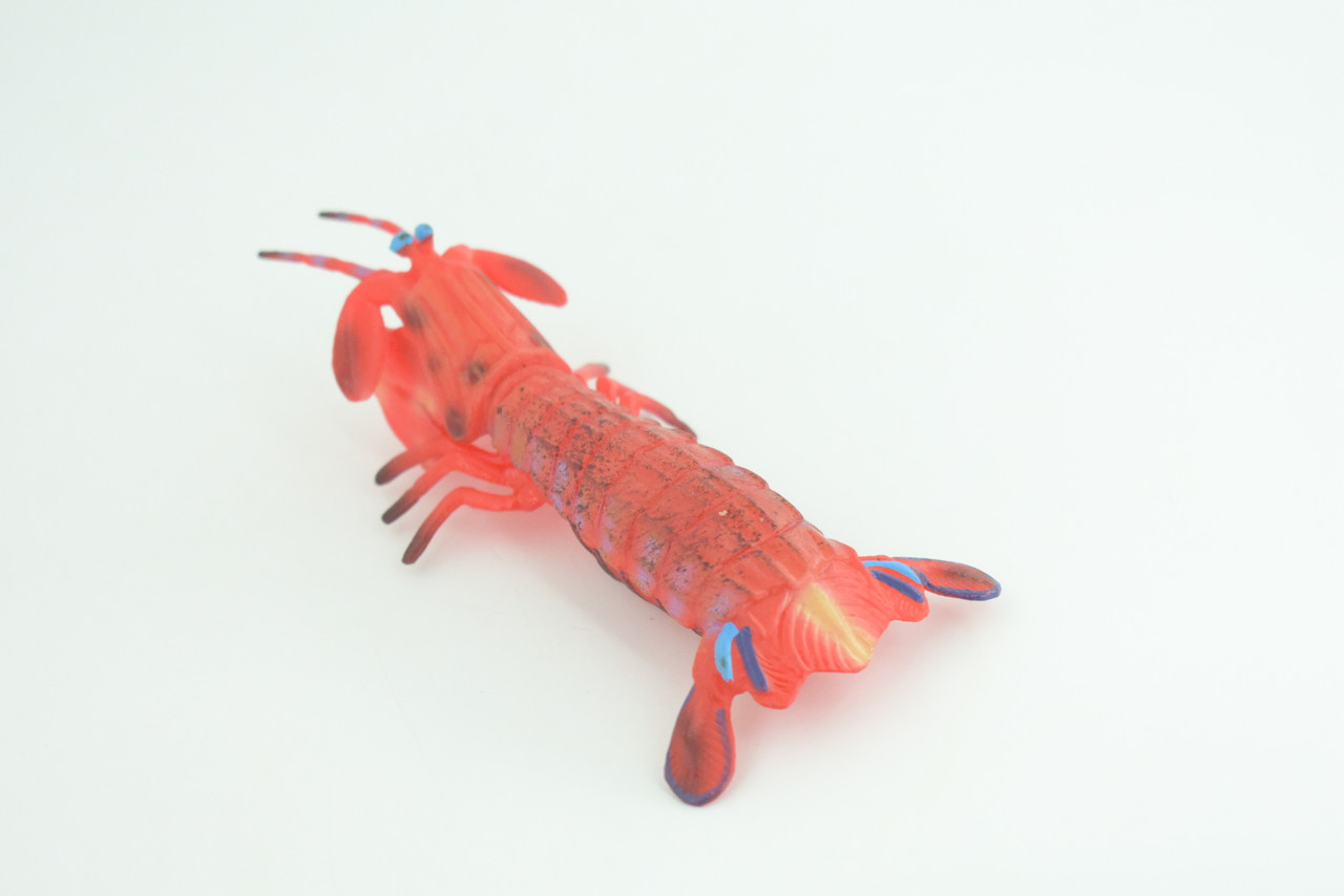 Mantis Shrimp, Marine Crustaceans, Museum Quality, Hand Painted, Rubber, Realistic Toy Figure, Diorama Model, Replica, Kids, Educational, Gift,    5 Inches.     CH1050 BB218