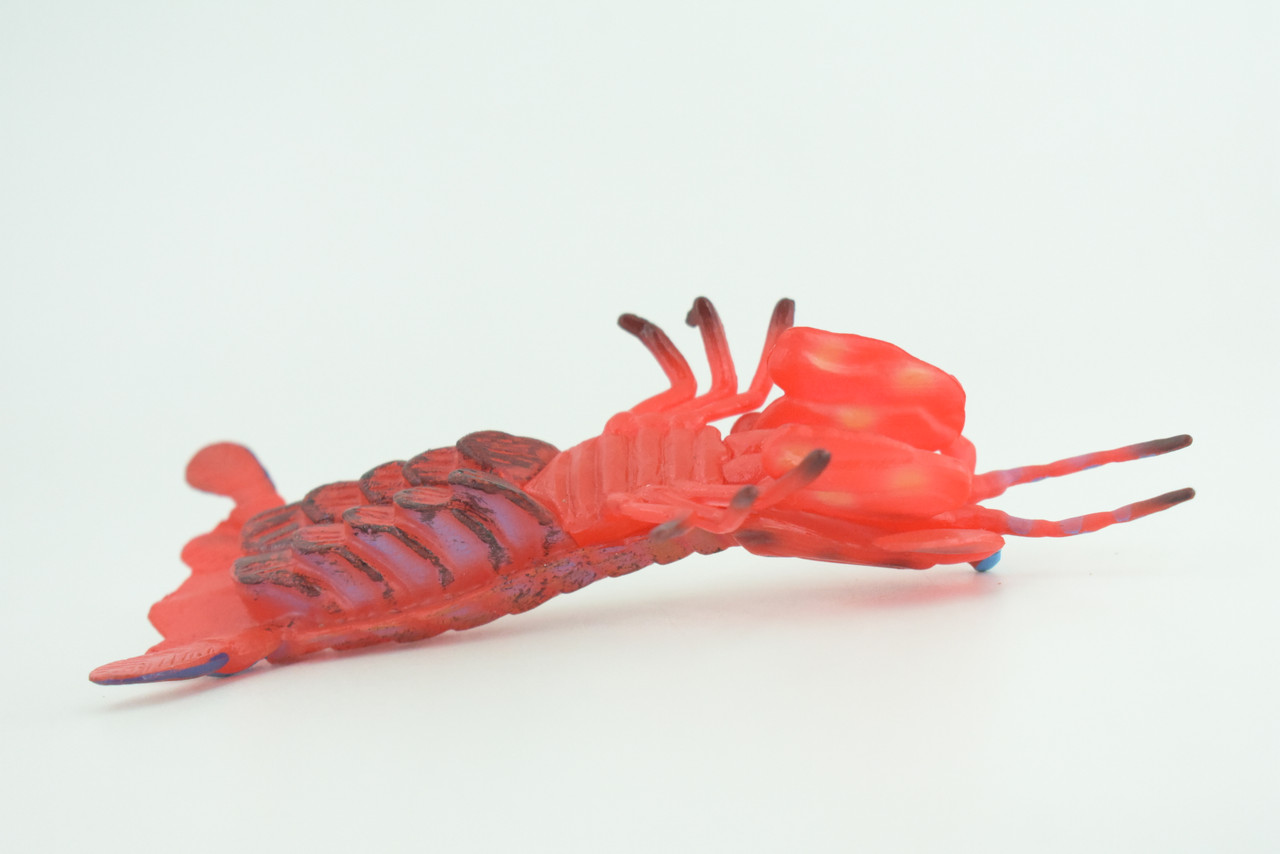 Mantis Shrimp, Marine Crustaceans, Museum Quality, Hand Painted, Rubber, Realistic Toy Figure, Diorama Model, Replica, Kids, Educational, Gift,    5 Inches.     CH1050 BB218