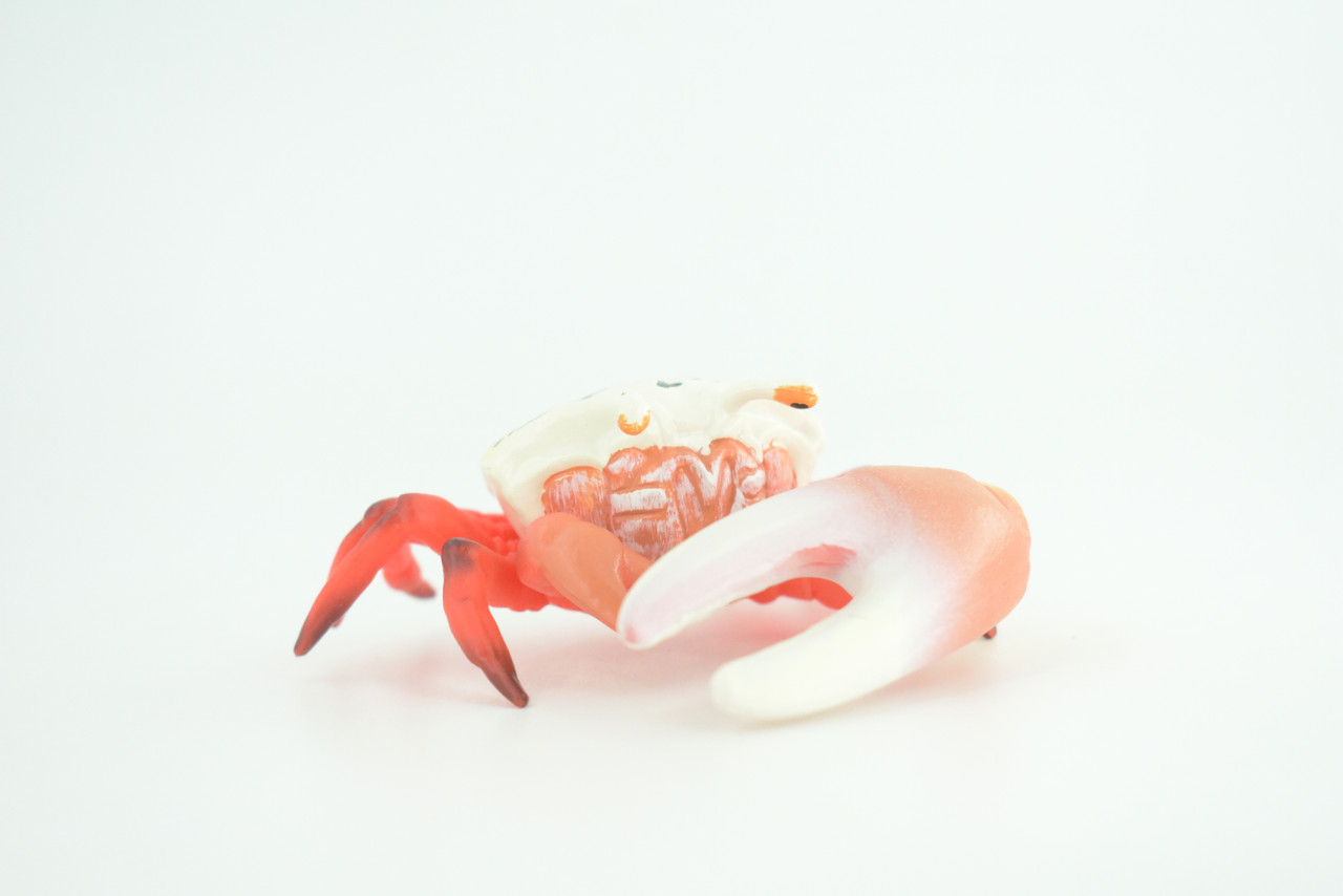 Fiddler Crab, Marine Crustaceans, Museum Quality, Hand Painted, Hard Rubber, Toy Figure, Diorama Model, Replica, Kids, Educational, Gift,    3 1/2 Inches.   CH1054 BB216