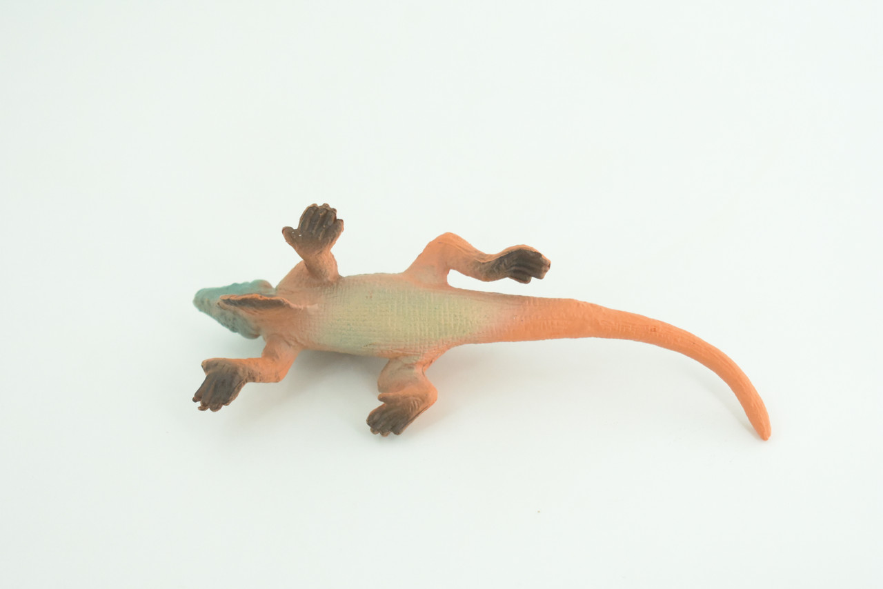 Iguana, Marine iguana, Lizard, Museum Quality, Hand Painted, Hard Rubber Reptile, Educational, Toy Figure, Diorama Model, Replica, Kids, Gift,   4 Inches.      CH1056 BB218
