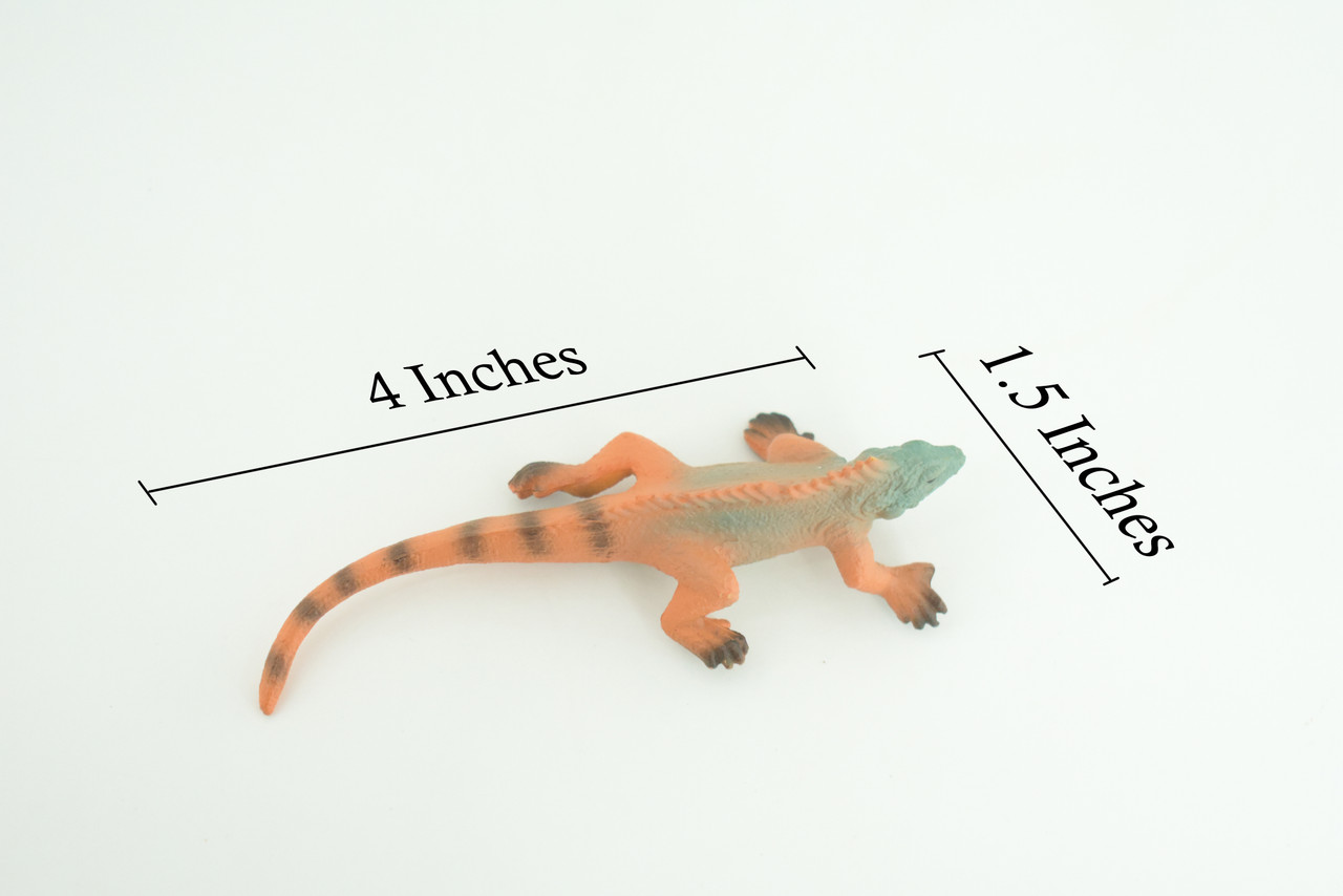 Iguana, Marine iguana, Lizard, Museum Quality, Hand Painted, Hard Rubber Reptile, Educational, Toy Figure, Diorama Model, Replica, Kids, Gift, 4 Inches. CH1056 BB218