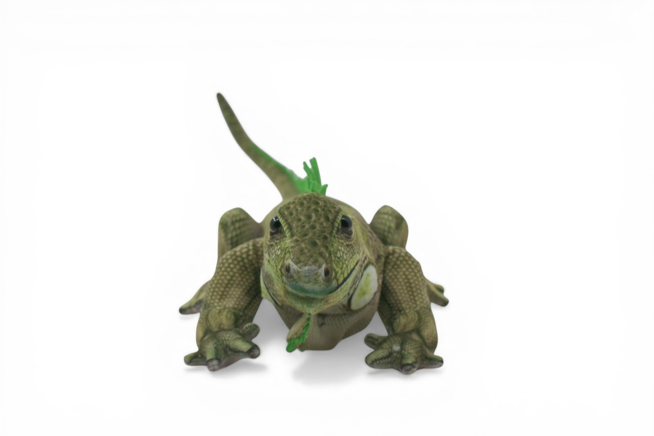 Iguana, Green, Lizard, Museum Quality, Stuffed Reptile, Educational, Plush Realistic Figure, Lifelike Model, Replica, Toys, Kids, Gift, 19 Inches. RI04 BB330