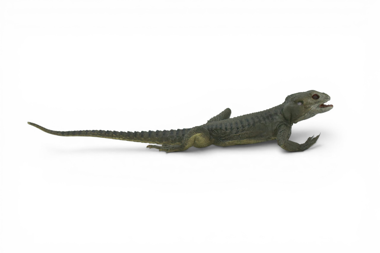 Spiny Lizard, Grey, Hand Painted, Educational, Museum Quality, Realistic, Rubber, Reptile, Lizard, Diorama Model, Figure, Toys, Kids, Gift, 12 Inches. IM31 B659