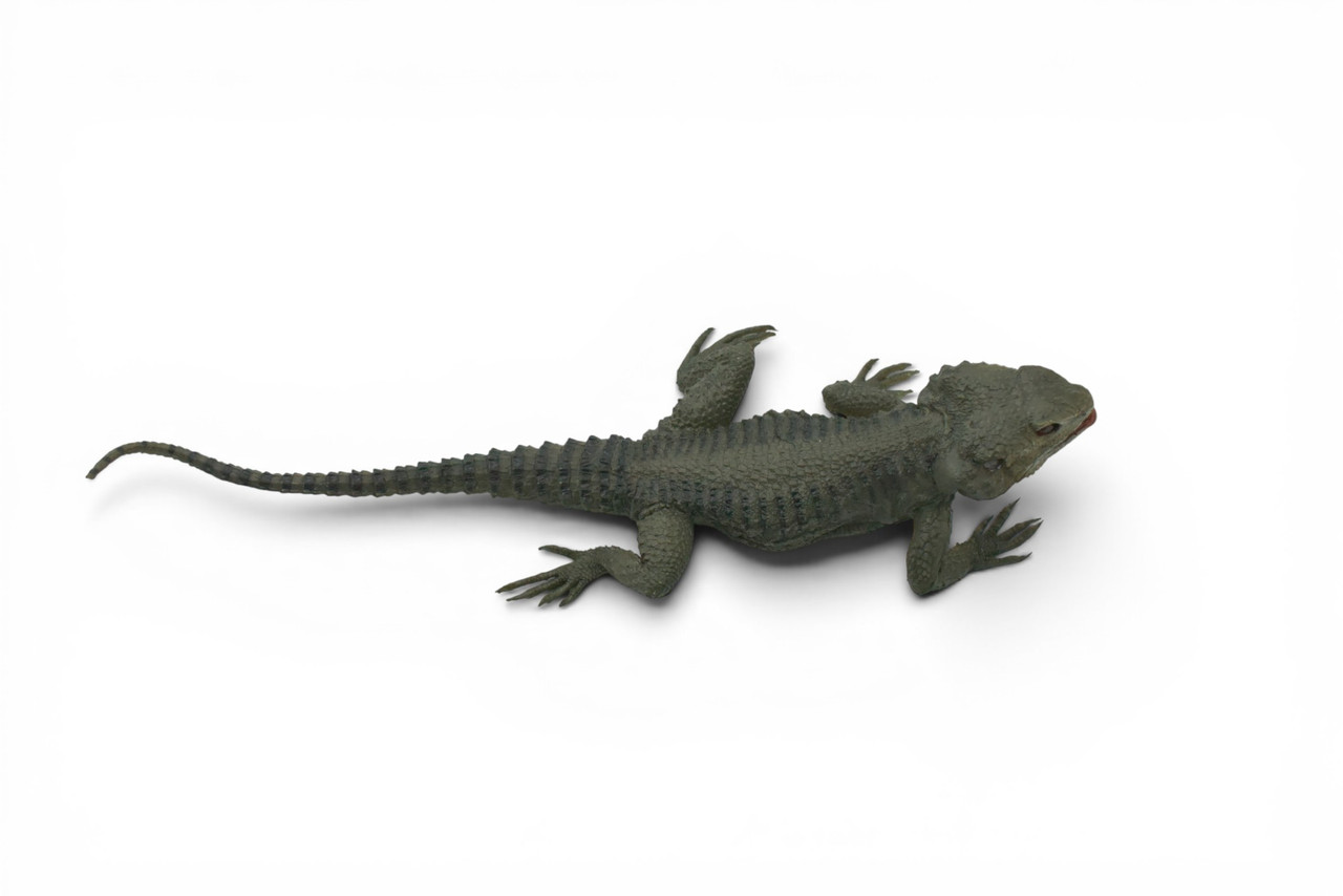 Spiny Lizard, Grey, Hand Painted, Educational, Museum Quality, Realistic, Rubber, Reptile, Lizard, Diorama Model, Figure, Toys, Kids, Gift, 12 Inches. IM31 B659