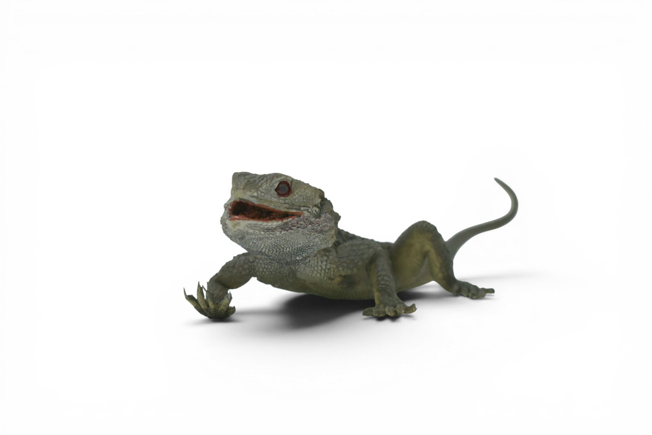 Spiny Lizard, Grey, Hand Painted, Educational, Museum Quality, Realistic, Rubber, Reptile, Lizard, Diorama Model, Figure, Toys, Kids, Gift, 12 Inches. IM31 B659