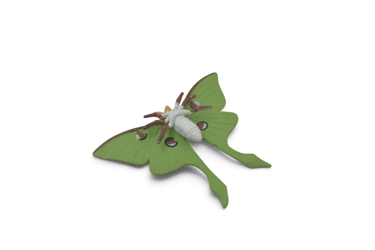 Luna Moth, Actias luna, Museum Quality, Hand Painted, Hard Rubber Insect, Educational, Toy Figure, Diorama Model, Replica, Kids, Gift,   4 Inches.  CH1059 BB221