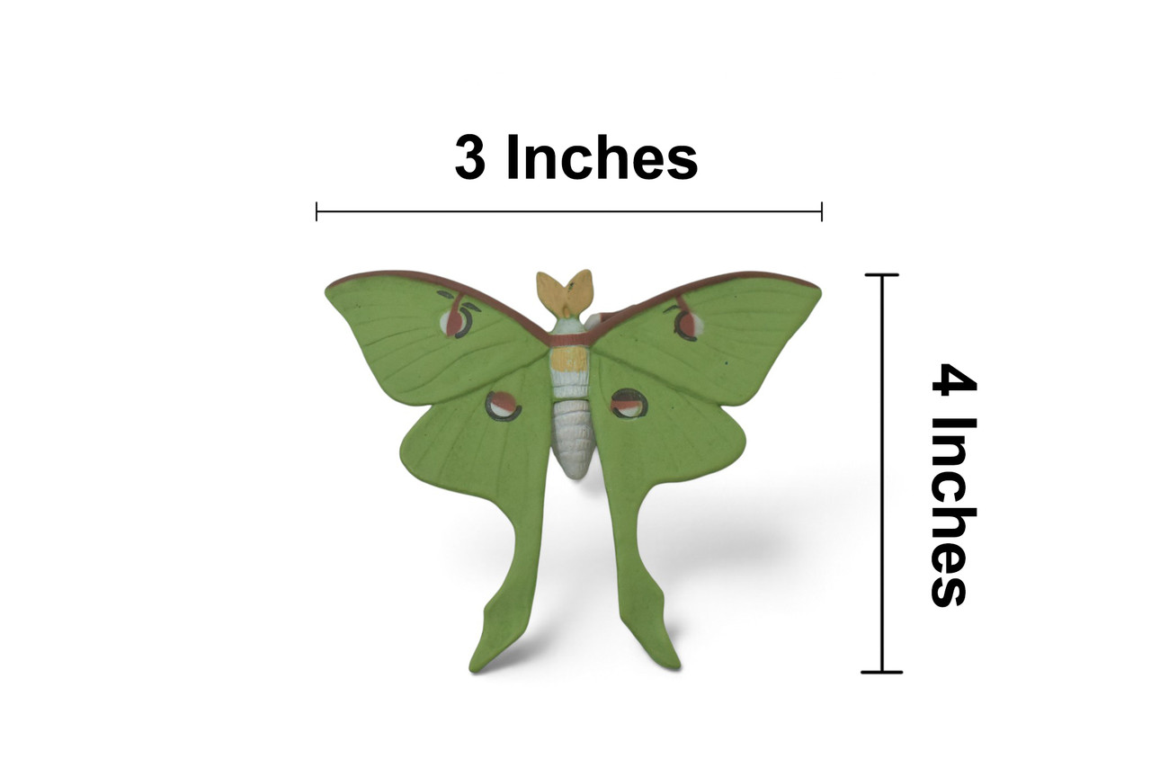 Luna Moth, Actias luna, Museum Quality, Hand Painted, Hard Rubber Insect, Educational, Toy Figure, Diorama Model, Replica, Kids, Gift, 4 Inches. CH1059 BB221