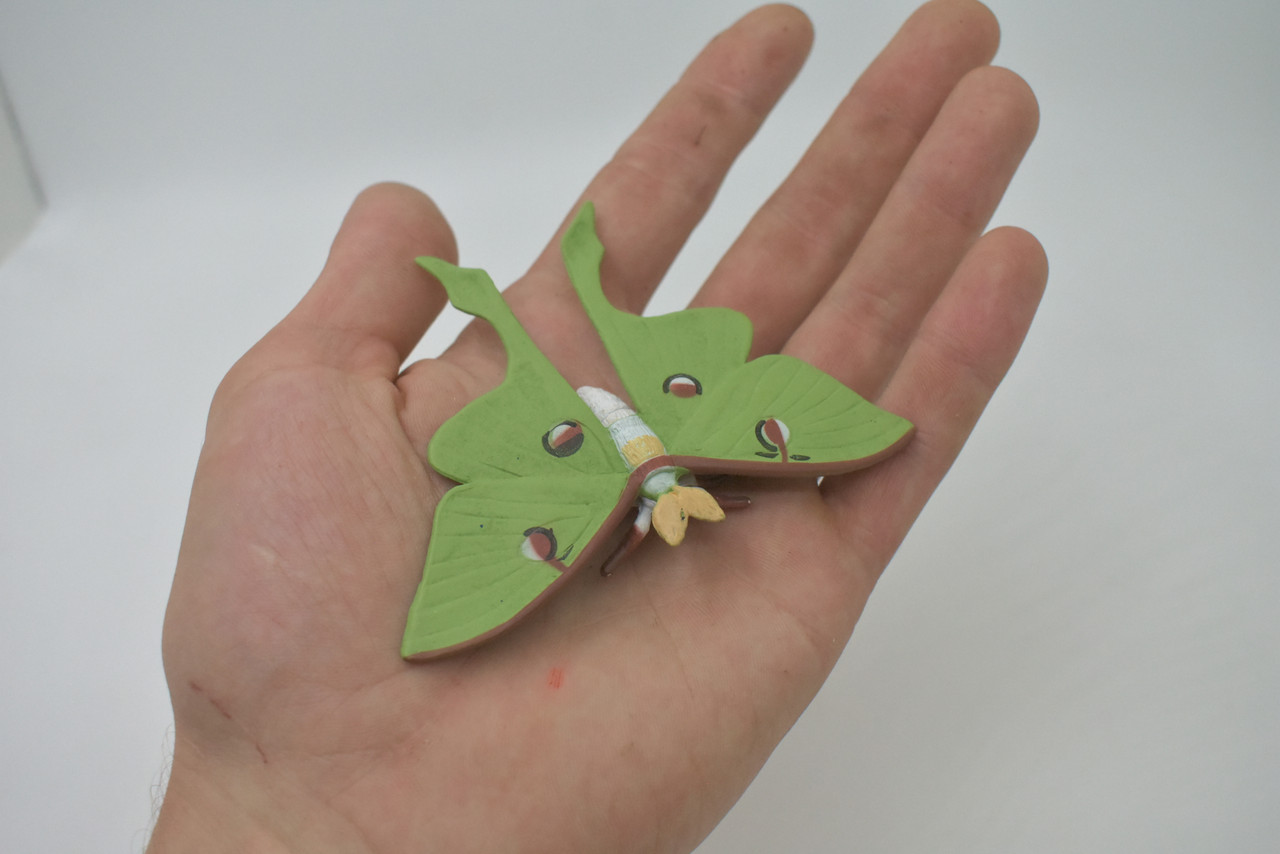 Luna Moth, Actias luna, Museum Quality, Hand Painted, Hard Rubber Insect, Educational, Toy Figure, Diorama Model, Replica, Kids, Gift,   4 Inches.  CH1059 BB221