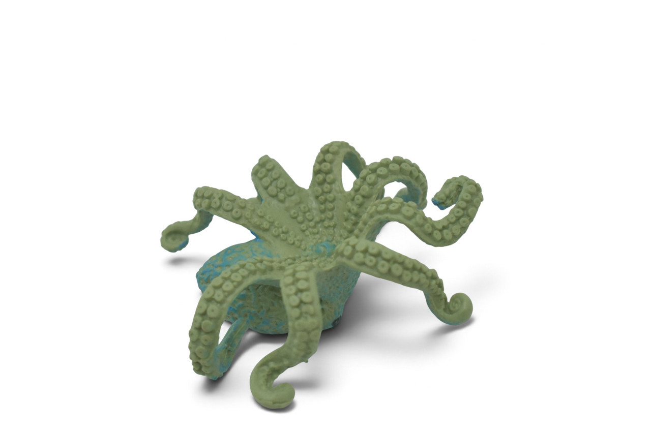 Octopus, Octopodes, Octopoda, Blue Octopi, Cephalopods, Museum Quality, Hand Painted, Hard Rubber, Realistic Figure, Toy, Kids, Educational, Gift,      4 Inches.  CH1062 BB222