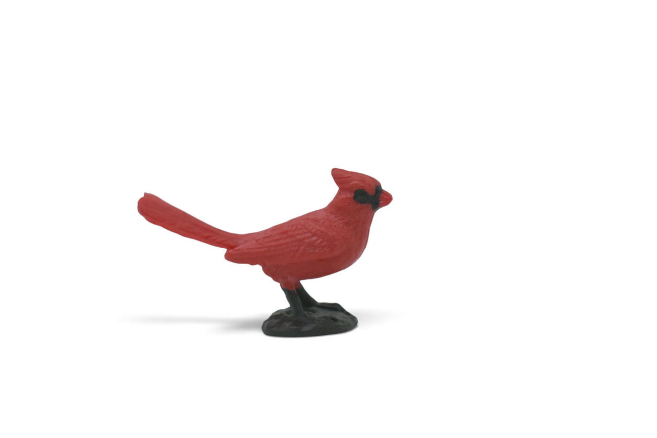 Cardinal, Northern Cardinal, Grosbeak, Museum Quality, Educational, Hand Painted, Rubber Bird, Realistic Toy Figure, Diorama Model, Kids, Gift, 2 1/2 Inches. CH1063 BB222
