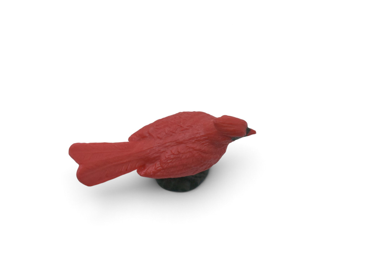Cardinal, Northern Cardinal, Grosbeak, Museum Quality, Educational, Hand Painted, Rubber Bird, Realistic Toy Figure, Diorama Model, Kids, Gift,   2 1/2 Inches. CH1063 BB222