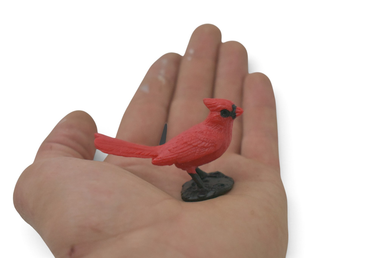 Cardinal, Northern Cardinal, Grosbeak, Museum Quality, Educational, Hand Painted, Rubber Bird, Realistic Toy Figure, Diorama Model, Kids, Gift,   2 1/2 Inches. CH1063 BB222