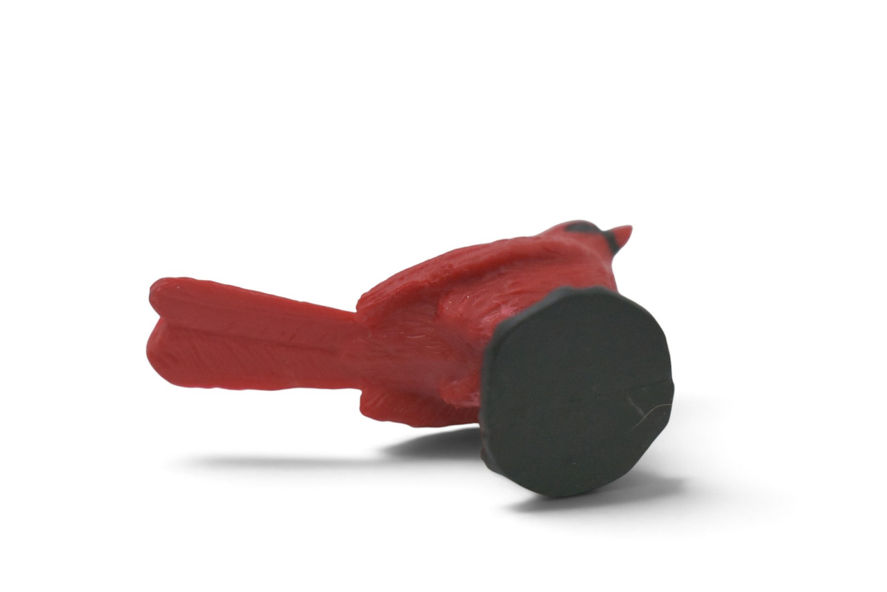 Cardinal, Northern Cardinal, Grosbeak, Museum Quality, Educational, Hand Painted, Rubber Bird, Realistic Toy Figure, Diorama Model, Kids, Gift,   2 1/2 Inches. CH1063 BB222