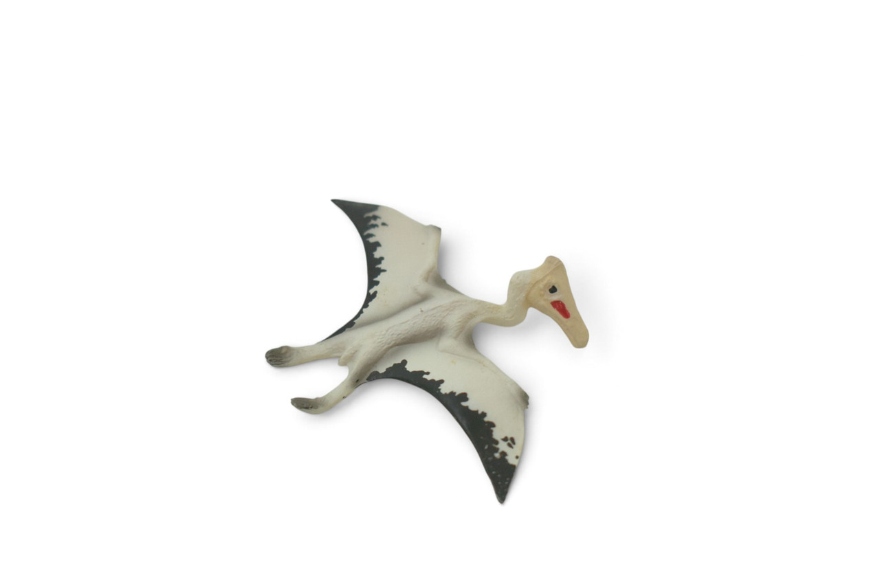 Quetzalcoatlus Flying Dinosaur, Late Cretaceous, Museum Quality, Hand Painted, Rubber, Realistic, Toy, Figure, Model, Kids, Educational, Gift, 3 Inches. CH1066 BB222 