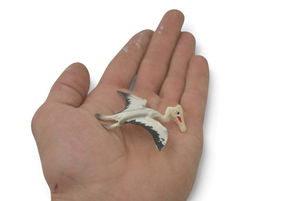 Quetzalcoatlus Flying Dinosaur, Late Cretaceous, Museum Quality, Hand Painted, Rubber, Realistic, Toy, Figure, Model, Kids, Educational, Gift,   3 Inches.   CH1066 BB222