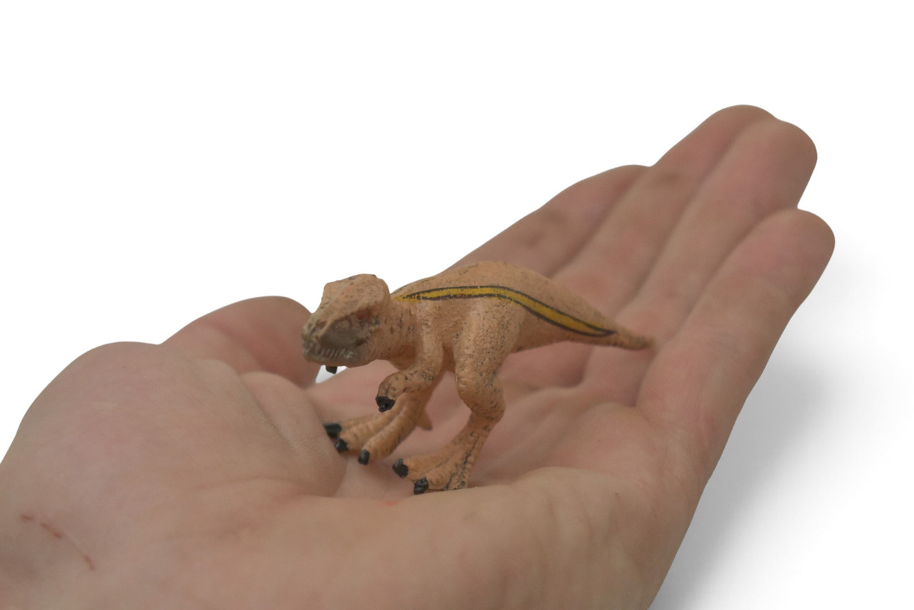 Tyrannosaurus, T-Rex Dinosaur, Theropod dinosaur, Cretaceous Period, Museum Quality, Educational, Hand Painted, Rubber, Realistic, Toy, Gift,  3 Inches.  CH1072 BB222 