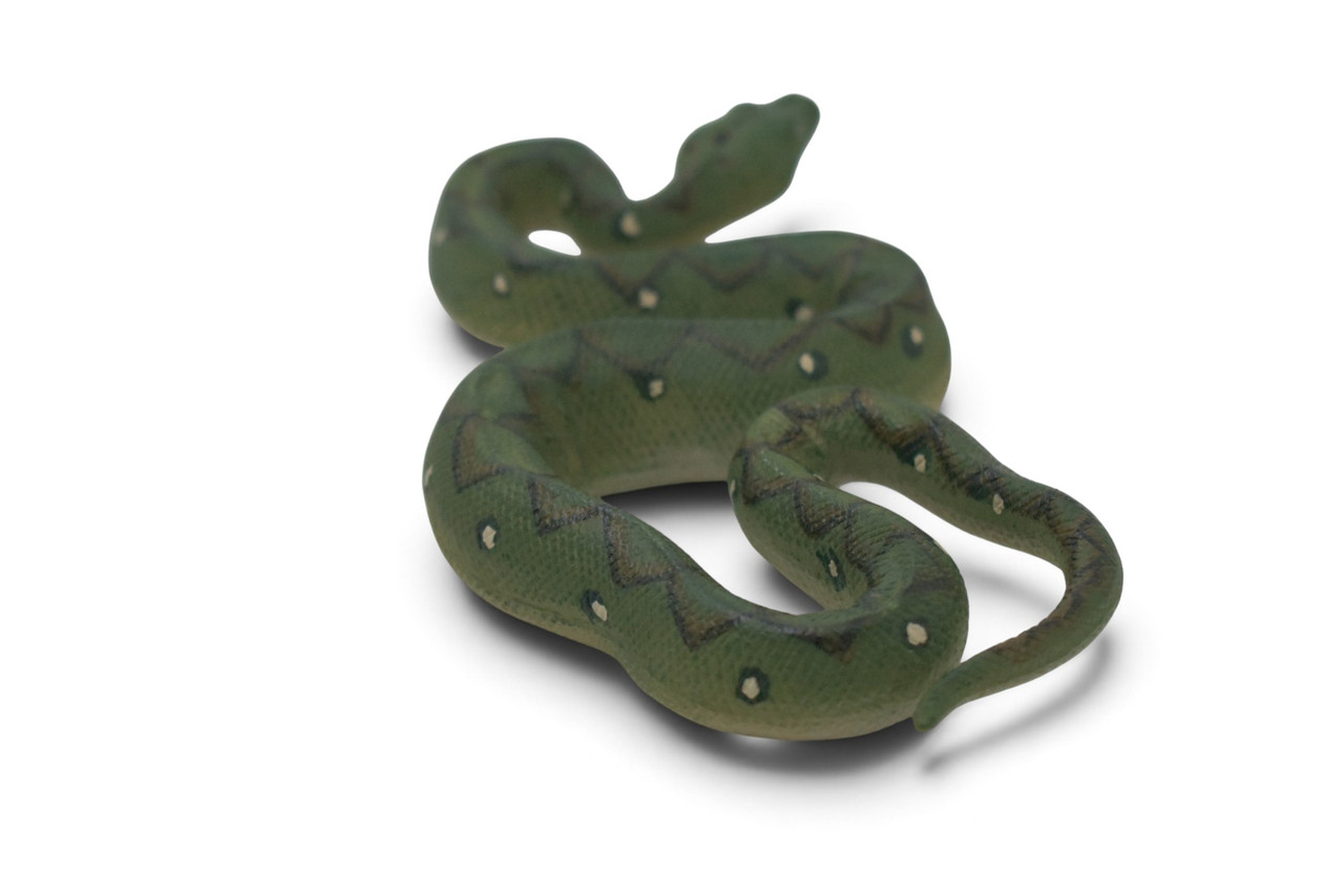 Anaconda Snake, Water boas, Green anaconda, Museum Quality, Hand Painted, Rubber Reptile, Educational, Toy Figure, Diorama Model, Gift,  6 1/2 Inches.  CH1074 BB222 
