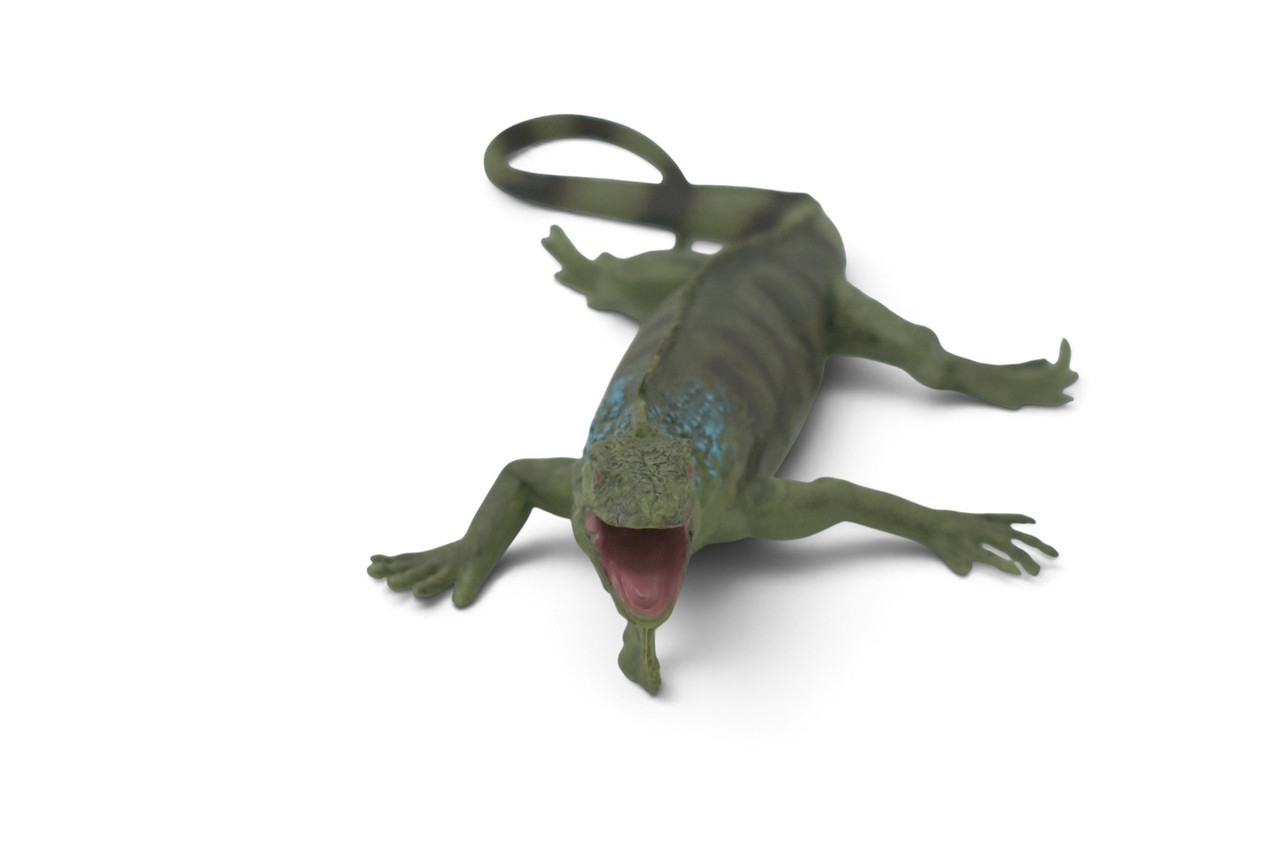 Iguana, Green iguana, Lizard, Museum Quality, Hand Painted, Rubber Reptile, Educational, Toy Figure, Diorama Model, Replica, Gift, 9 Inches. CH1075 BB222