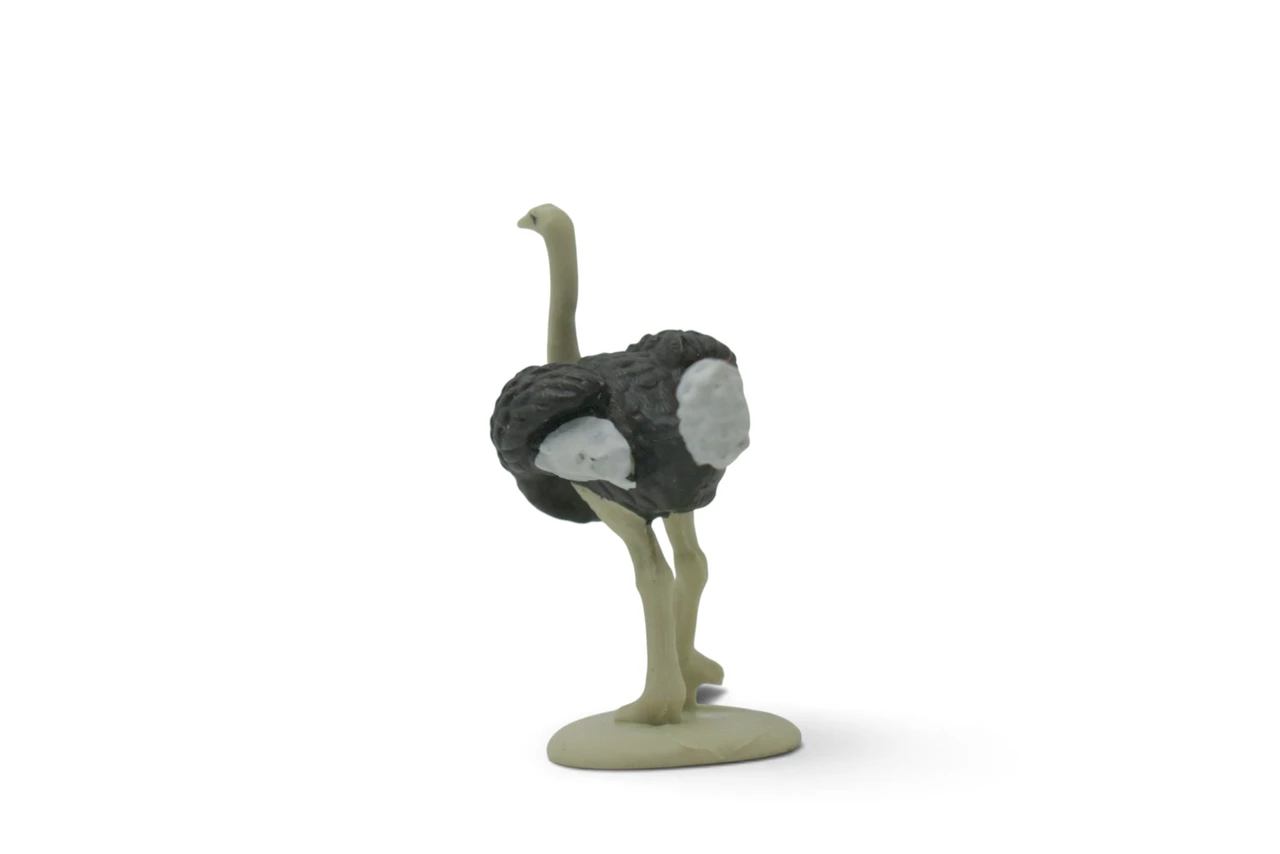 Ostrich, Flightless birds, Museum Quality, Educational, Hand Painted, Realistic, Rubber Bird, Figure, Diorama Model, Toy, Kids,  Gift,       2 1/4 Inches.    CH1082 BB223