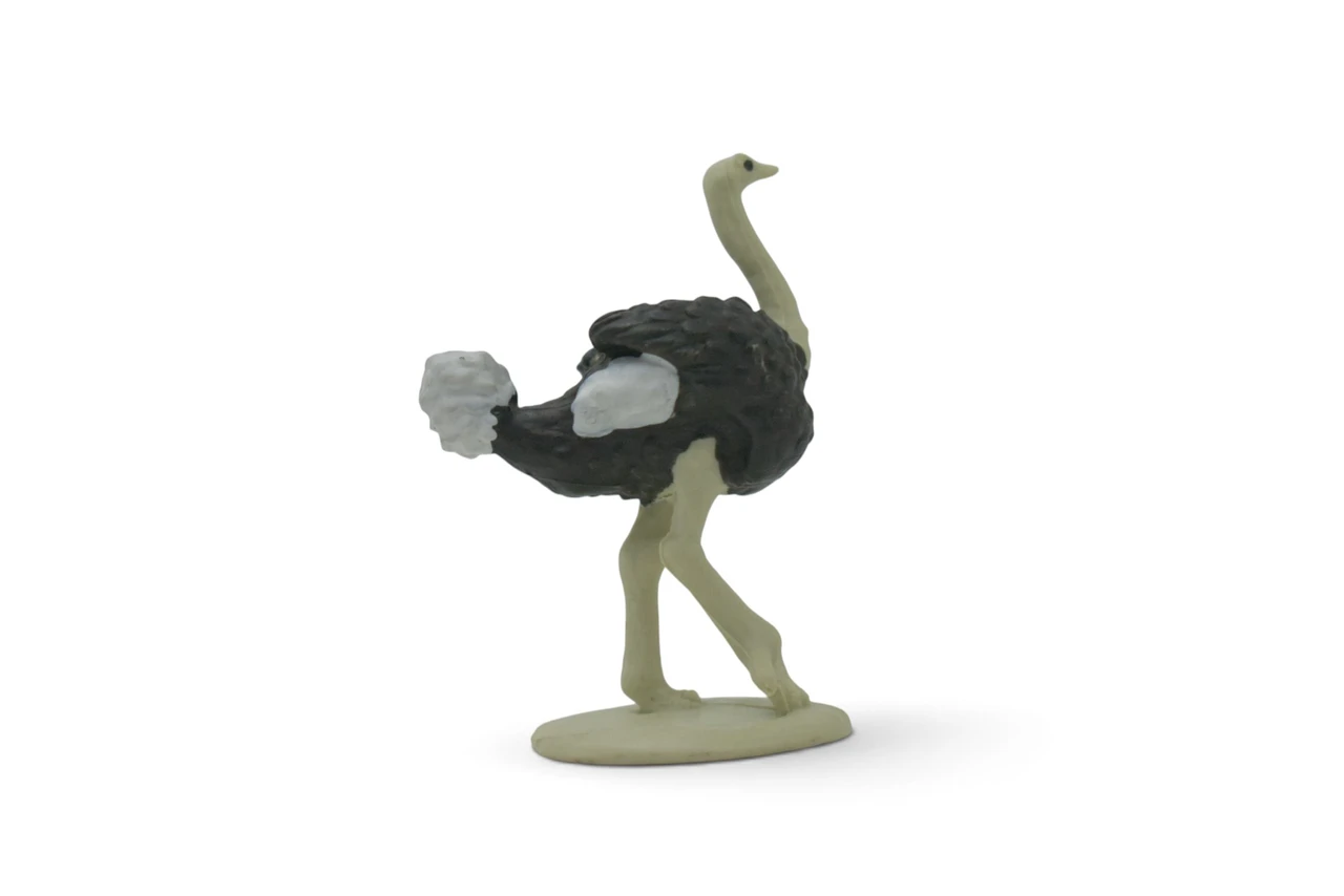 Ostrich, Flightless birds, Museum Quality, Educational, Hand Painted, Realistic, Rubber Bird, Figure, Diorama Model, Toy, Kids, Gift, 2 1/4 Inches. CH1082 BB223 