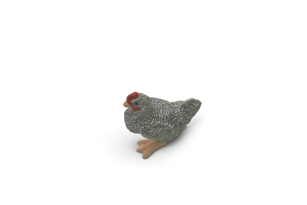 Chicken, Dominique Breed, Museum Quality, Educational, Hand Painted, Realistic, Rubber Bird, Figure, Diorama Model, Toy, Kids,  Gift,       2 Inches.    CH1083 BB223