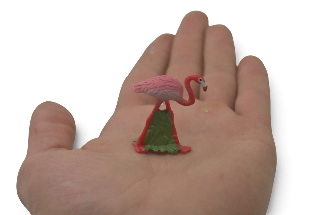 Flamingo, Phoenicopteridae, Very Nice Design, Educational, Hand Painted, Realistic, Rubber Bird, Figure, Diorama Model, Toy, Kids, Gift,       1 1/2 Inches.    CH1084 BB223