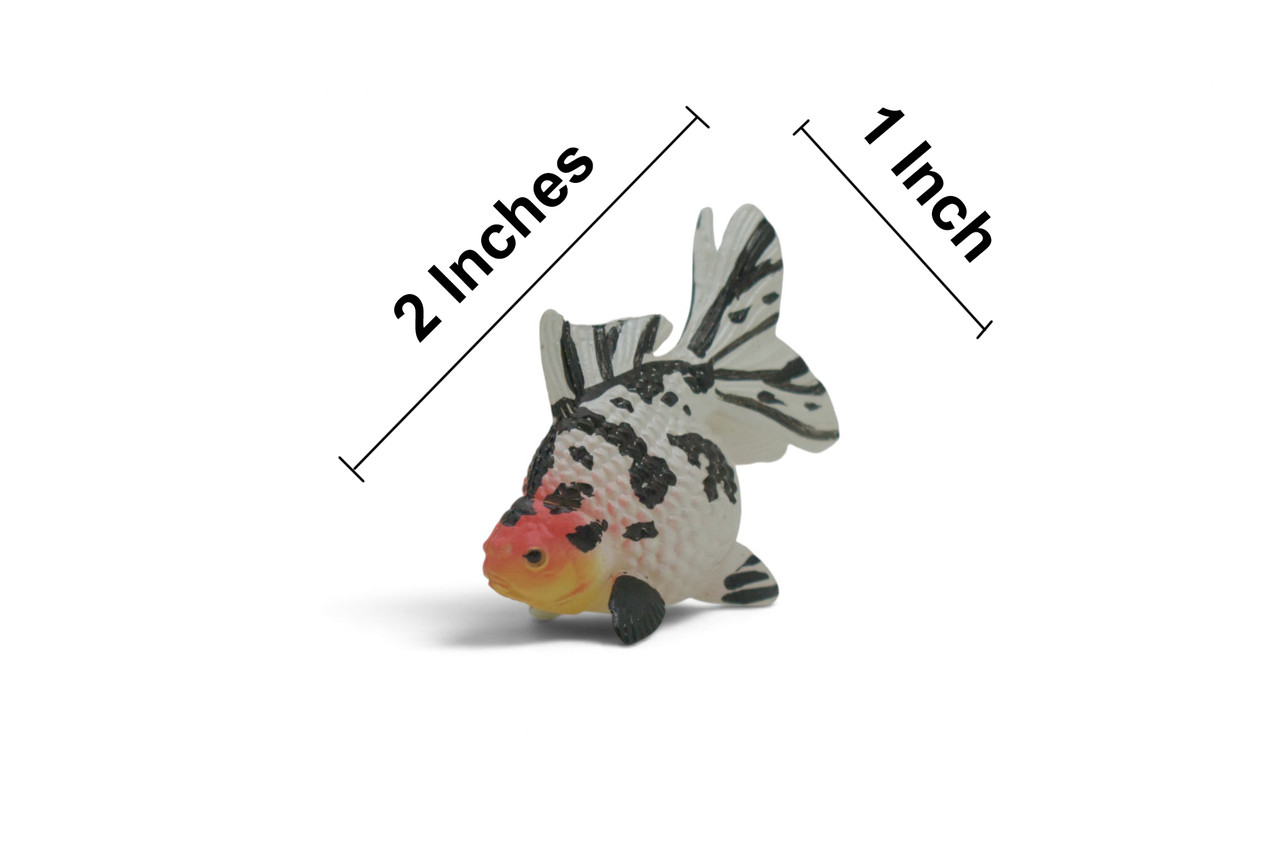 Goldfish, Calico, Carassius auratus, Museum Quality, Educational, Hand Painted, Rubber Fish, Realistic Figure, Diorama Model, Replica, Toy, Kids, Gift,  2 Inches.  CH1086 BB223