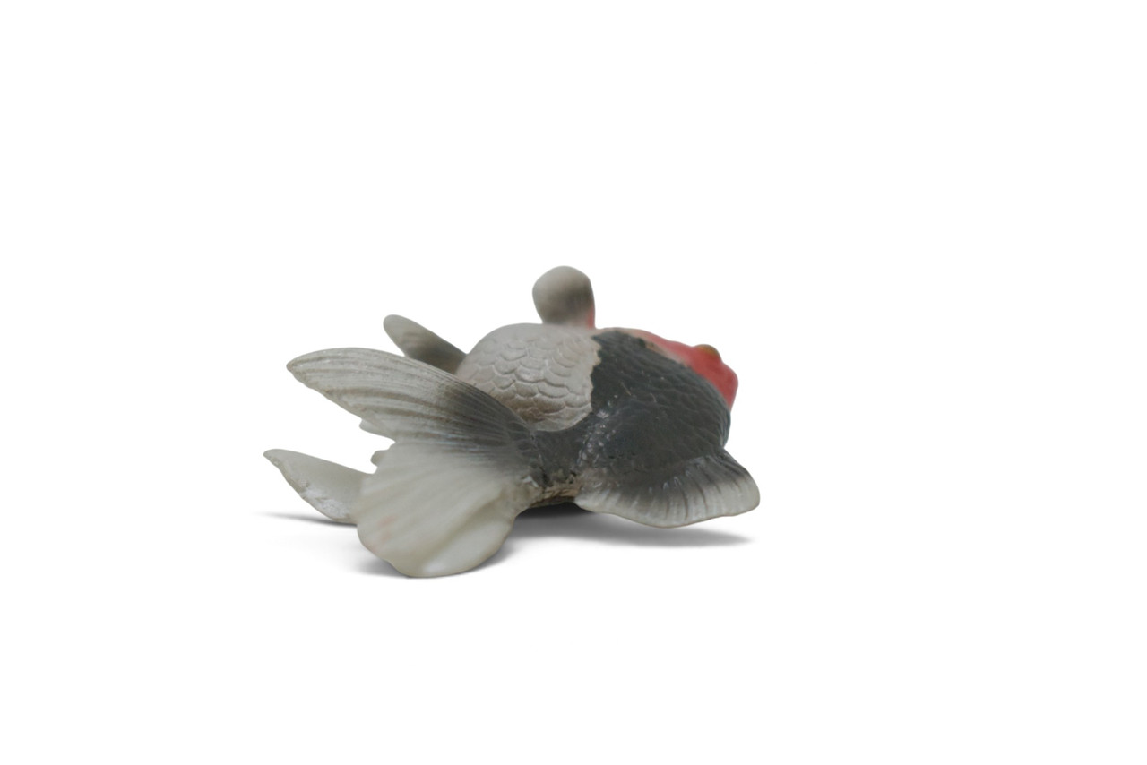 Ryukin Goldfish, (Carassius auratus), Museum Quality, Educational, Hand Painted, Rubber Fish, Realistic Figure, Diorama Model, Replica, Toy, Kids, Gift,  2 Inches.  CH1087 BB223