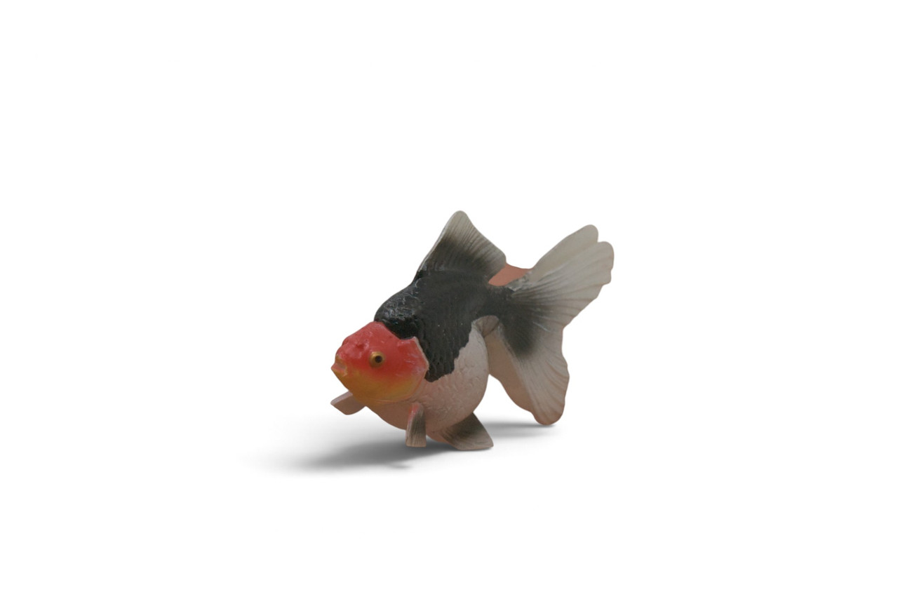 Ryukin Goldfish, (Carassius auratus), Museum Quality, Educational, Hand Painted, Rubber Fish, Realistic Figure, Diorama Model, Replica, Toy, Kids, Gift,  2 Inches.  CH1087 BB223