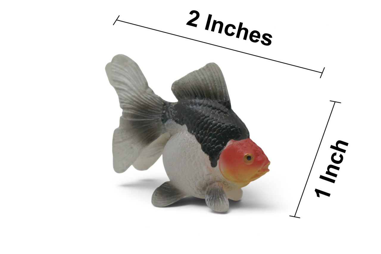 Ryukin Goldfish, (Carassius auratus), Museum Quality, Educational, Hand Painted, Rubber Fish, Realistic Figure, Diorama Model, Replica, Toy, Kids, Gift, 2 Inches. CH1087 BB223