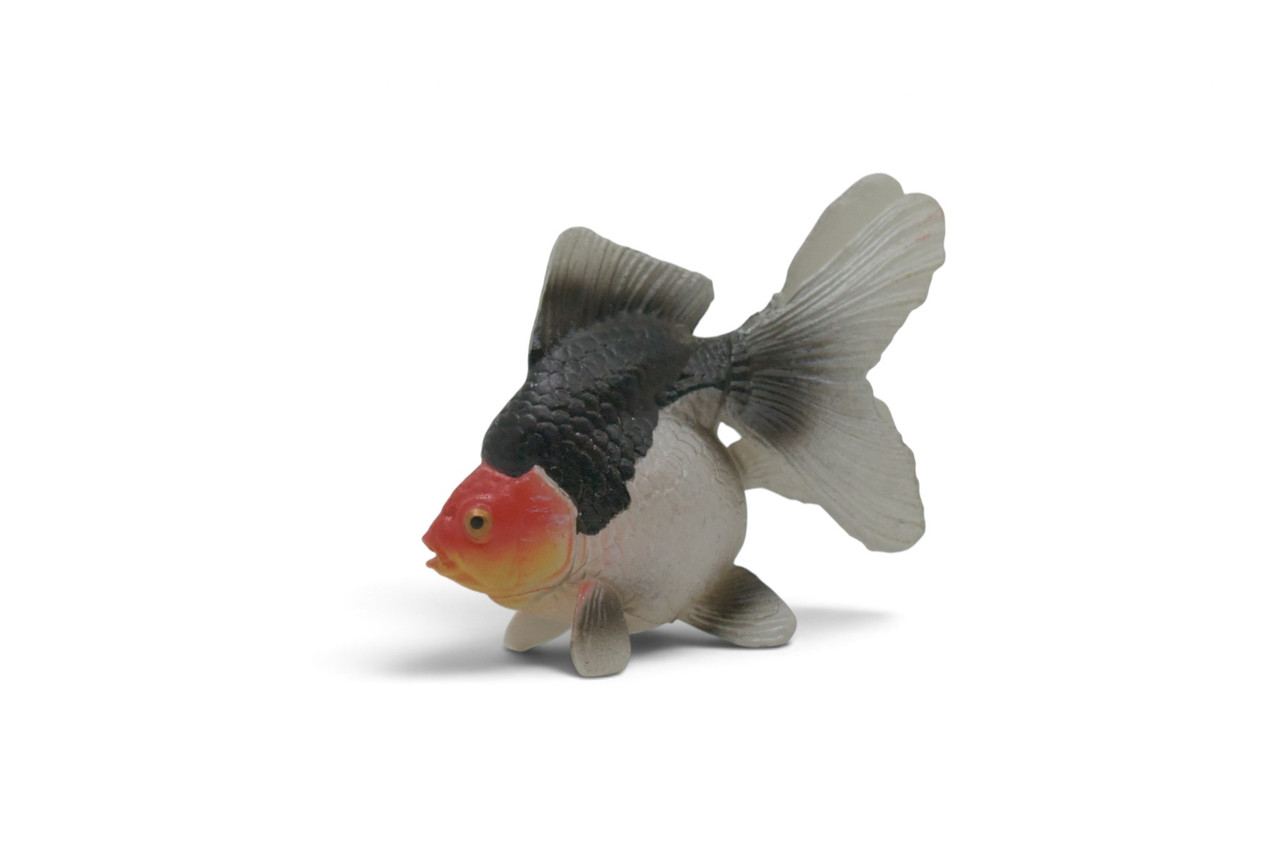 Ryukin Goldfish, (Carassius auratus), Museum Quality, Educational, Hand Painted, Rubber Fish, Realistic Figure, Diorama Model, Replica, Toy, Kids, Gift, 2 Inches. CH1087 BB223