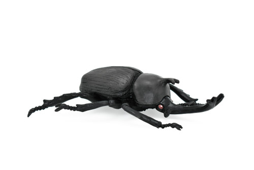 Beetle Rhinoceros, Black, Very Nice Rubber Replica 5 1/2