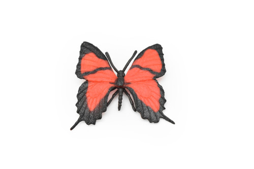 Butterfly S レッド 2枚セット 1549_source_1658349000.jpg