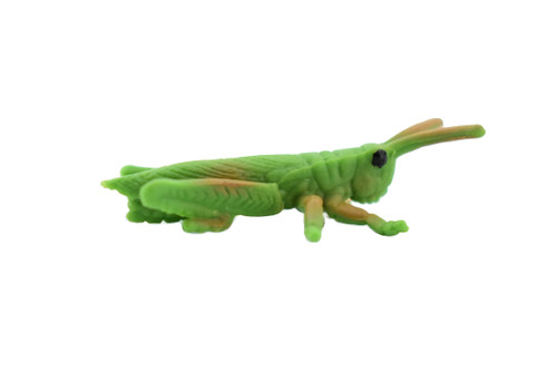 Grasshopper, Rubber Insect, Realistic Toy Figure, Model, Replica