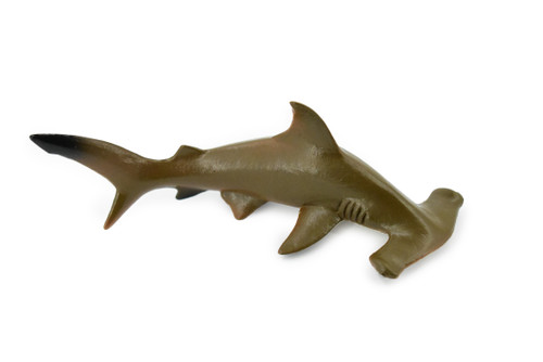 Shark, Hammerhead Shark, Museum Quality, Rubber Fish, Hand Painted,  Realistic Toy Figure, Model, Replica, Kids, Educational