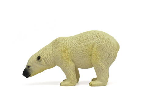 Polar Bears, Educational Resources