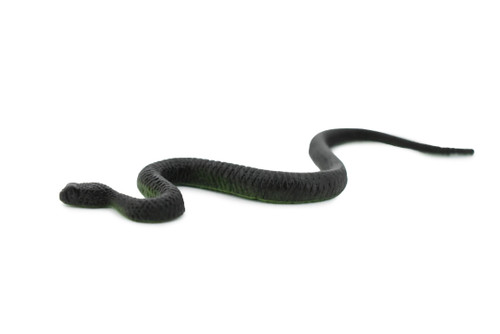 black swamp snake