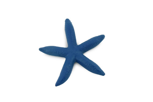 Starfish, Blue, Sea Star, Echinoderms, Asteroidea, Ocean, Sea Life