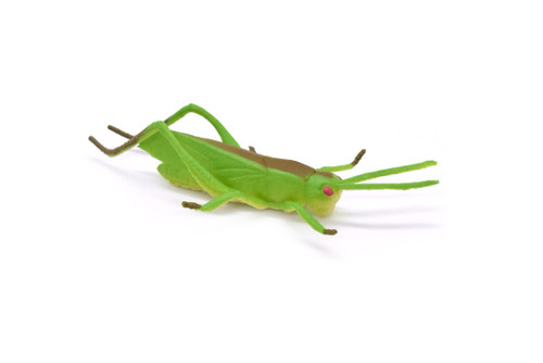 Grasshopper, Rubber Insect, Toy, Realistic Figure, Model, Replica