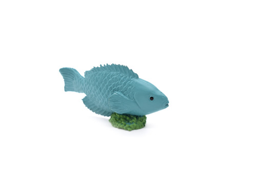 Parrot Fish, Tropical, Rubber Fish Design, Realistic Figure, Educational,  Figure, Lifelike, Toy Model, Figurine, Replica, Gift, 2 1/4 F1793 B145