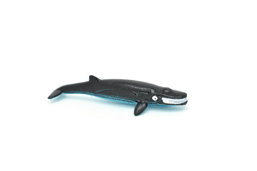 Baleen Whale, Very Nice Plastic Replica 3