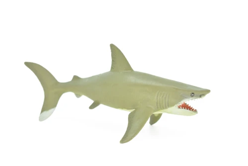 Great White Shark, Squeaks, Very Nice Design, Hand Painted, Rubber, Educational, Diorama Model, Realistic Figure, Figurine, Replica,  6 Inches. 
