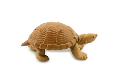 Turtle, Loggerhead Musk Turtle, Plastic Reptile, Educational, Realistic, Figure, Lifelike Model, Figurine, Replica, Gift,      2"       F7000 B1