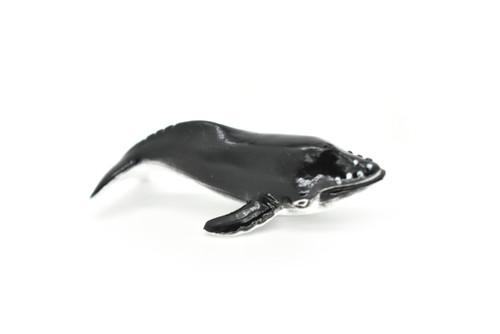 Humpback Whale, Calf, Very Nice Plastic Replica   2 1/2"  ~  F7036-B54
