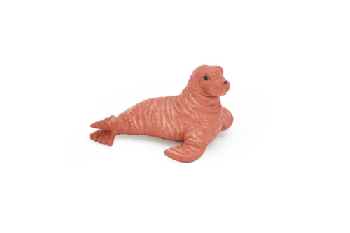 Walrus, Pup, Baby, Pinnipeds, Odobenus rosmarus, Very Nice Plastic Replica, Hand Painted, Educational, Diorama Model, Replica, Toy,  2 Inches.