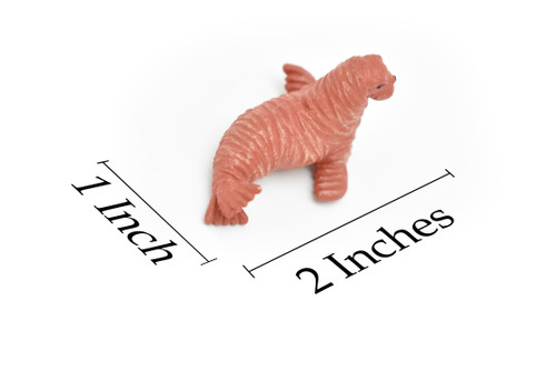 Walrus, Pup, Baby, Pinnipeds, Odobenus rosmarus, Very Nice Plastic Replica, Hand Painted, Educational, Diorama Model, Replica, Toy,  2 Inches.