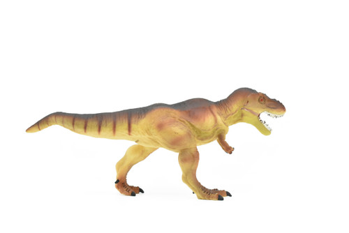 Tyrannosaurus rex, T. Rex, Dinosaur,  Museum Quality Plastic Replica     9"   F7058-B143